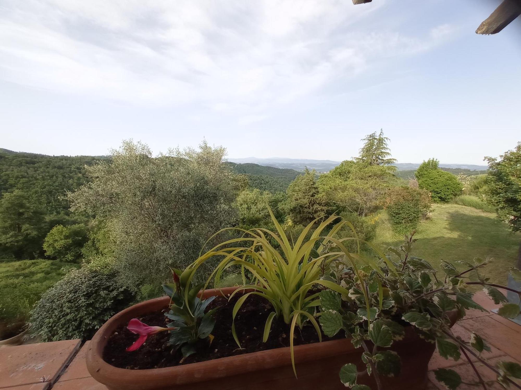 Podere L'Aquila Apartment Gaiole in Chianti Cameră foto