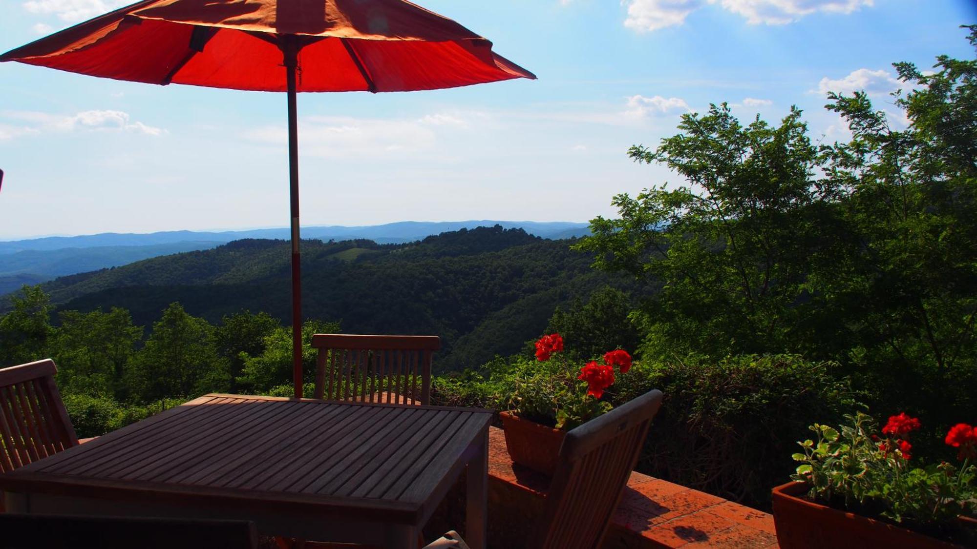 Podere L'Aquila Apartment Gaiole in Chianti Cameră foto